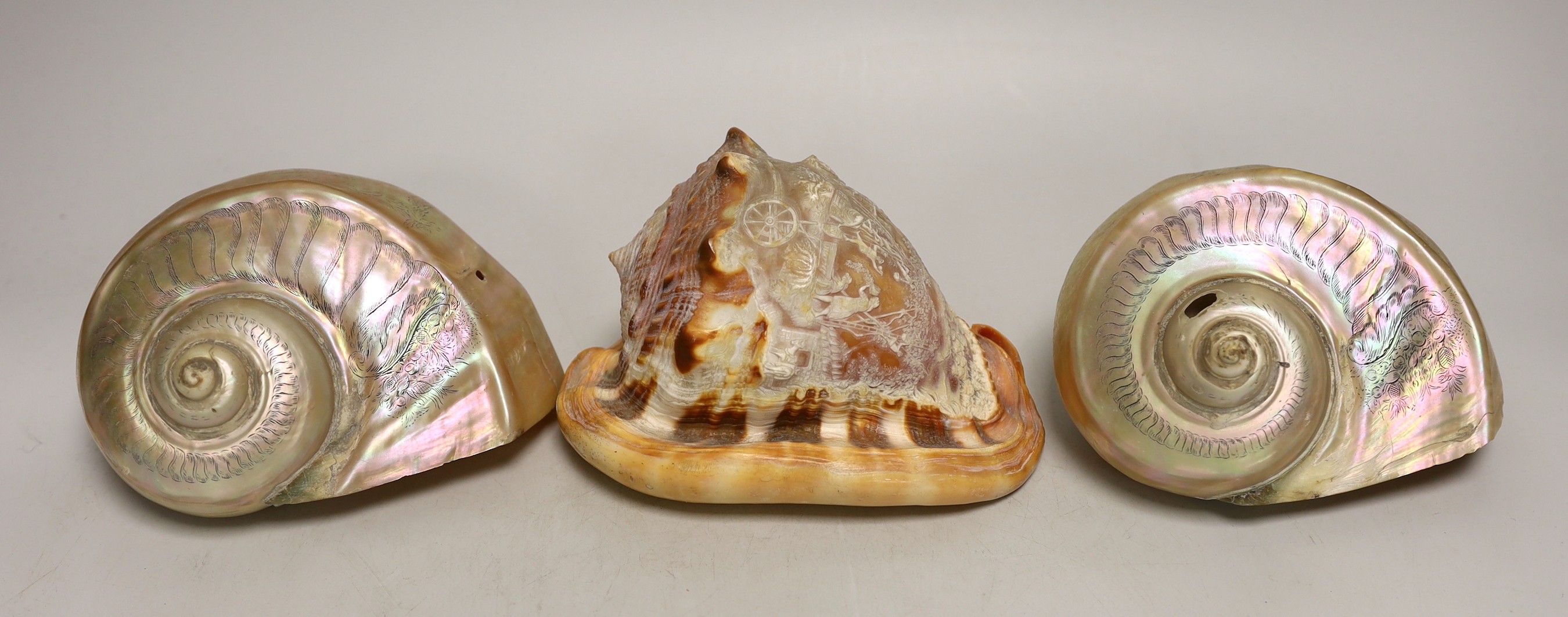 A 19th century Italian conch shell, engraved with grape picking and a town view, and a pair of 19th century mother-of-pearl shells engraved with poems (3)